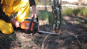 Best Tree Mulching  in Whiting, WI